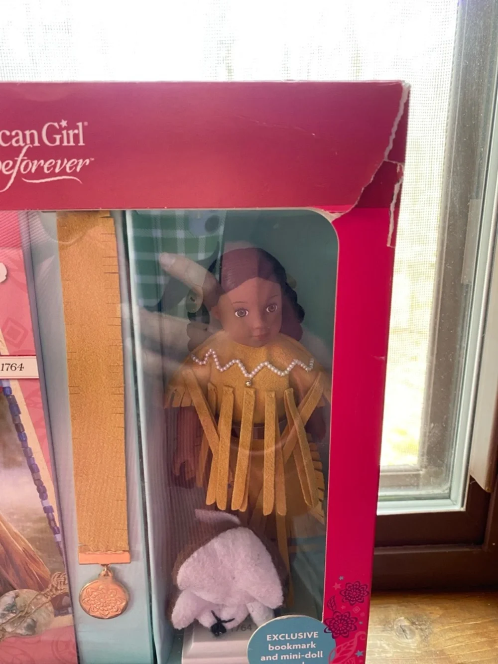 American Girl Beforever Box with Bright Pink Design (has been opened)